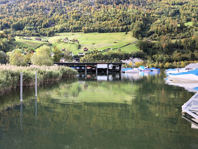 文化 场景 假期 浪漫的 瑞士 夏天 村庄 自然 阿尔卑斯山