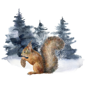 水彩画圣诞松鼠和冬季森林构图。手绘节日卡片，白色背景上有冷杉动物和球果。设计印刷织物背景插图。