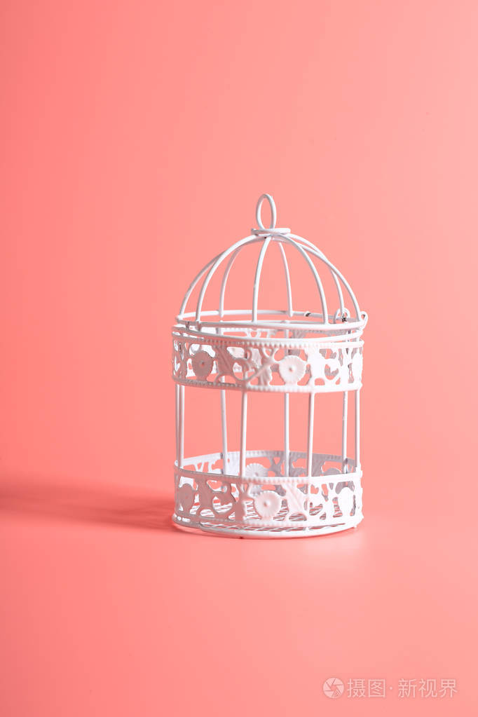 粉红色背景的白色装饰铁鸟笼