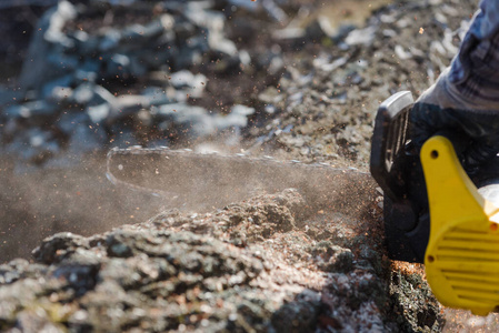 sawing a tree with an electric saw. Closeup sawing a tree. sawi