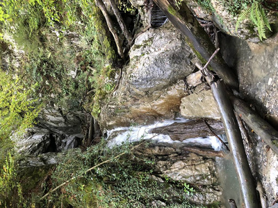 徒步旅行 落下 树叶 岩石 森林 生态学 风景 瀑布 瑞士人