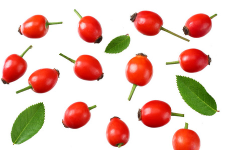 rosehip berries with green leaves isolated on white background. 