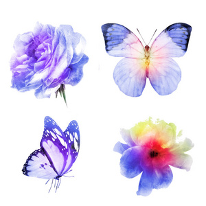 蝴蝶 花的 春天 艺术 野生动物 浪漫的 水彩 精彩的 优雅