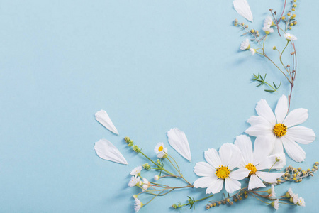 white flowers on paper background 