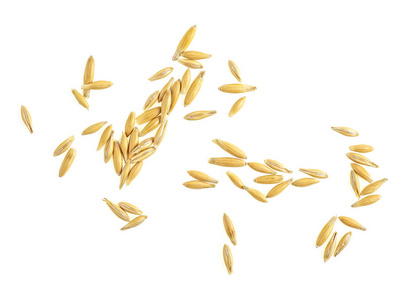 白色背景下分离的燕麦种子，俯视图。