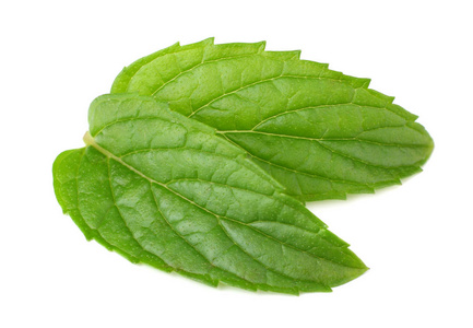 Fresh mint leaves isolated on white background. top view 