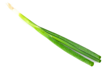 green onion isolated on a white background 