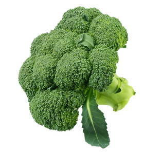 fresh green broccoli isolated on white background 
