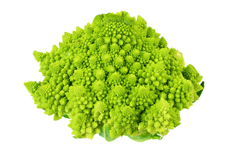 Romanesco broccoli isolated on white background. Roman cauliflow