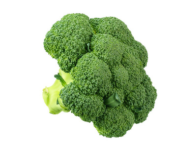 green broccoli isolated on white background. 