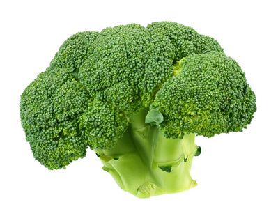 green broccoli isolated on white background. 