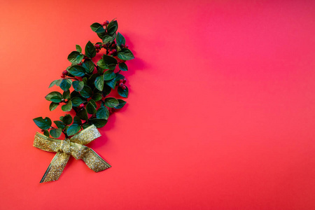 槲寄生红底金色圣诞蝴蝶结。圣诞节概念。