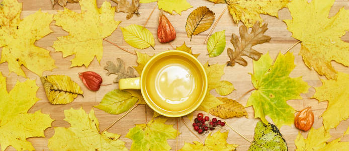 Autumn flat lay composition with dry leaves wreath frame and emp