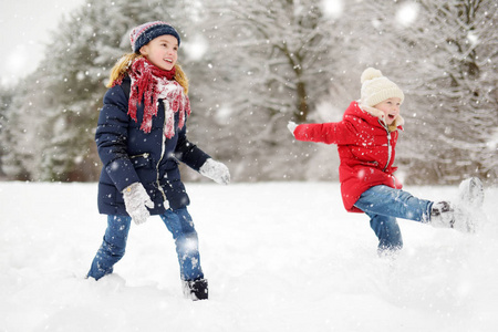 两个可爱的小女孩在美丽的冬季公园里玩得很开心。可爱的姐妹们在雪地里玩耍。