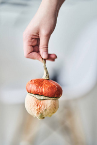 Mushroomshaped decorative pumpkin 