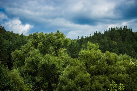 夏天 天空 风景 森林 自然 小山 美丽的 旅行 全景图