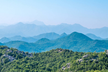 黑山山脉。绿林雾霾