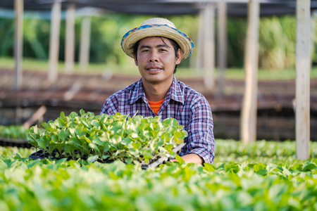 一位戴帽子的亚洲农民，在他的农场里抱着幼苗