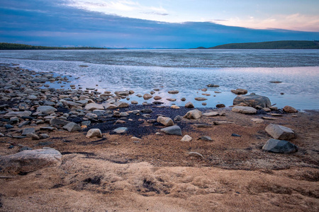 巴伦支海岸上巨大的圆形切割石头，上面覆盖着褐藻。