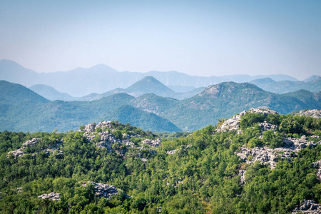 黑山山脉。绿林雾霾