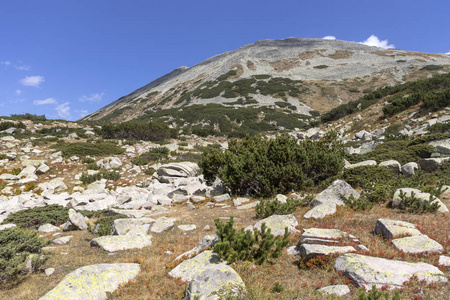 保加利亚龙湖附近的皮林山风景