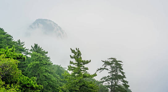 从中国华山看雾状景观