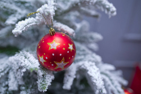 圣诞枝红金球。新年背景装饰圣诞白桦树绿色自然圣诞绿球。