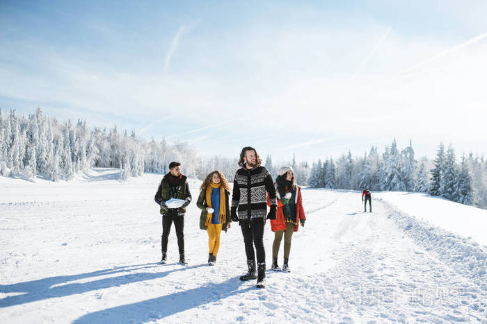 一群年轻的朋友在冬天森林里的雪地里散步
