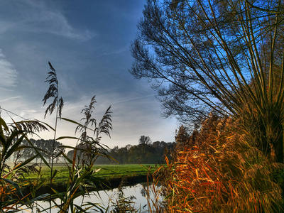 森林 德国 自然 长凳 秋天 徒步旅行 防波堤 公司 树叶