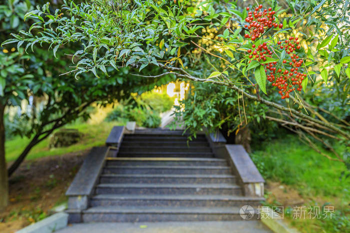 旅行 玻璃 欧洲 新的 索契 商业 风景 高加索 公寓 公园