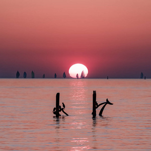 日落时在平静的海面上航行的船图片