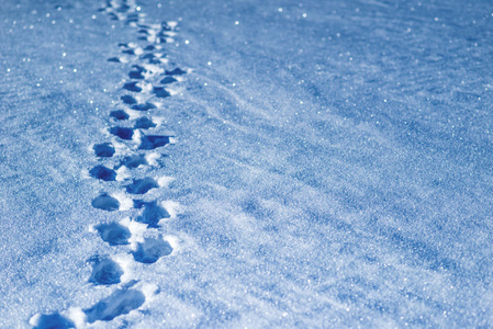 雪地里一个身份不明的人的脚印