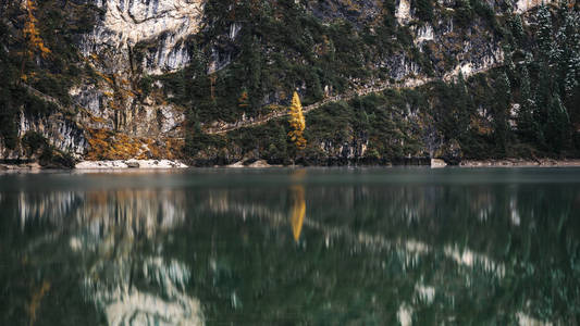 公园 岩石 拉戈 意大利语 森林 假期 风景 旅行 自然