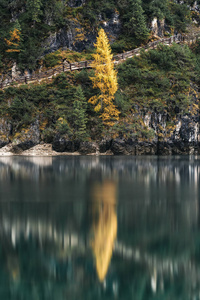 标志性的 欧洲 风景 旅游业 岩石 蒂罗尔 公园 山谷 自然