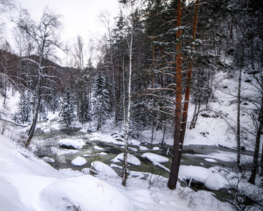 天气 领域 圣诞节 寒冷的 公园 冬天 天空 木材 自然