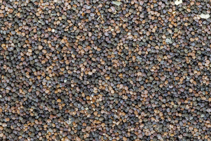 不同颜色均匀分布的罂粟籽背景