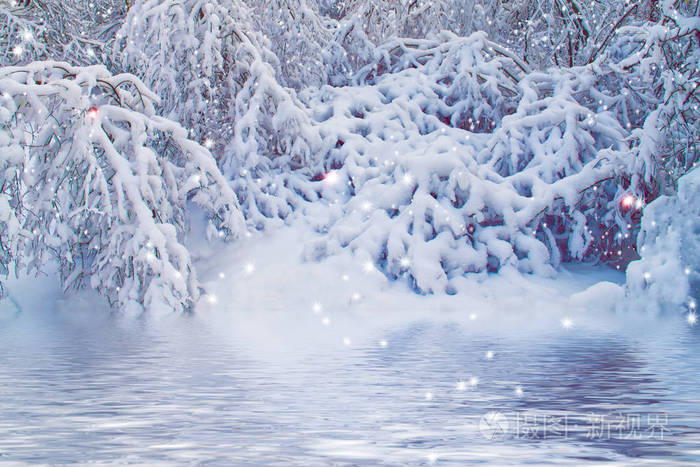  Frozen winter forest with snow covered trees.