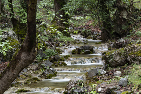 树叶 山谷 自然 公园 环境 风景 瀑布 森林 苔藓 阳光