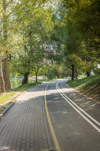 公园里绿树成荫的自行车道。美丽的夏天