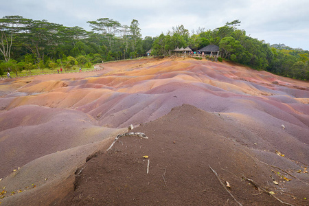 环境 旅行 风景 自由 季节 自然 生态学 外部 沙丘