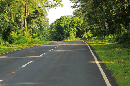 在阴天穿过森林的弯弯曲曲的道路,阿萨姆邦照片