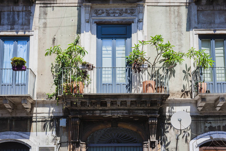 Balcony with flowerpots and house plants in a historic building 