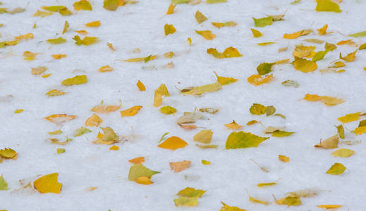 我们在晚上下了本季的第一场雪，撒上了灰尘