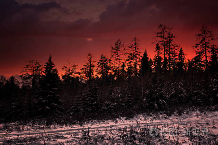 冬日森林里五彩缤纷的夕阳山上美丽的冬季景色日出