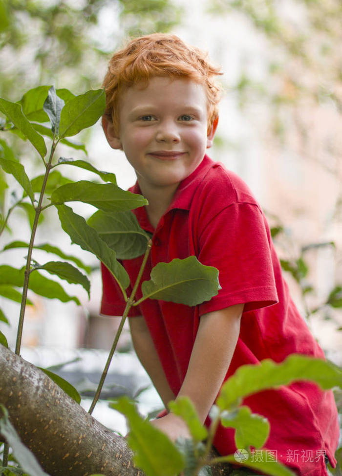 欧洲男孩,绿色的眼睛直视镜头,特写镜头.