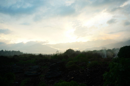 领域 挪威 夏天 木材 土地 旅行 森林 海岸 小山 乡村