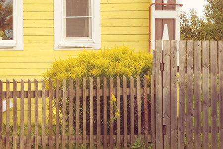 黄色木屋背景上的黄色花朵和栅栏