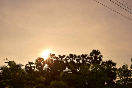 日落 太阳 傍晚 美女 天气 夏天 风景 森林 季节 日出