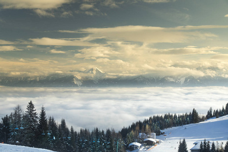 Fantastic winter landscape, sunset, snow covered trees 