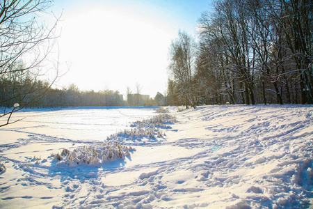 深雪，雪树和池塘的冰冻的冰。
